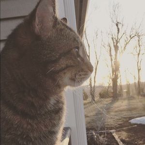 Meet your Posher, Morgan